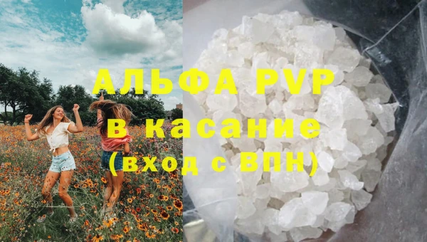 PSILOCYBIN Краснослободск