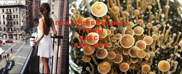 молекула духа Киреевск