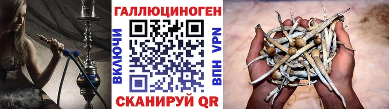 Галлюциногенные грибы мицелий  закладки  Малая Вишера 